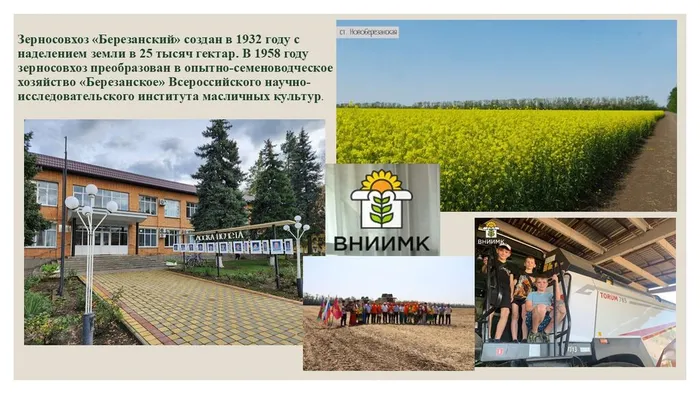 Слайд5
