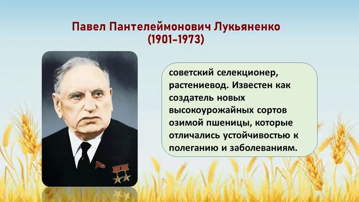 Слайд2 (2)